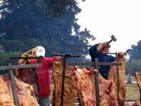 asado asado