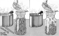 canning canning