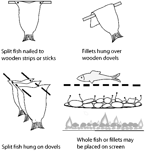 hanging fish fillets hanging fish fillets
