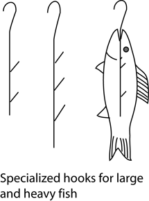 hanging fish