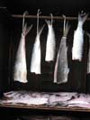 drying fish drying fish