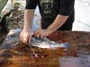 cleaning fish cleaning fish