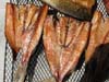 smoked mullet smoked mullet
