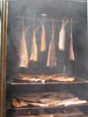 fish smoking fish smoking