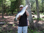 fishing for salmon