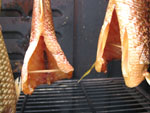 fish smoking
