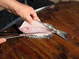 A cut is made on the top side of the fish as close to the backbone as possible. Make sure that the knife is sharp and take your time.