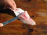 The knife separates flesh from the skin using a sawing motion. On the underside of the skin you can find a red and oily layer of flesh. This is where most of the fish flavor is present.