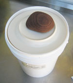 fermenting bucket