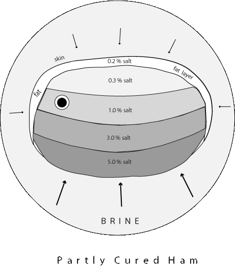 partially cured ham