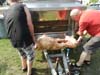 Pig is loaded into the gas fired oven.
