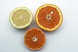 Citrus pith