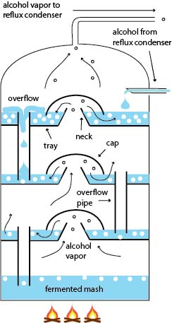 Fractionating column