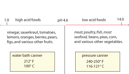 canning food safety microbiology acid foods