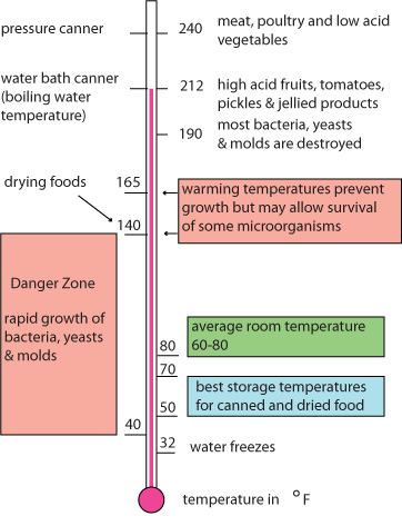 canning food safety microbiology temperatures