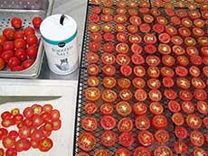 Drying tomatoes