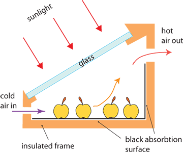 Solar dryer