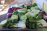 cabbage assortment