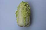 cabbage napa
