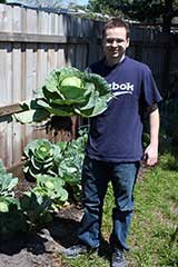 white cabbage