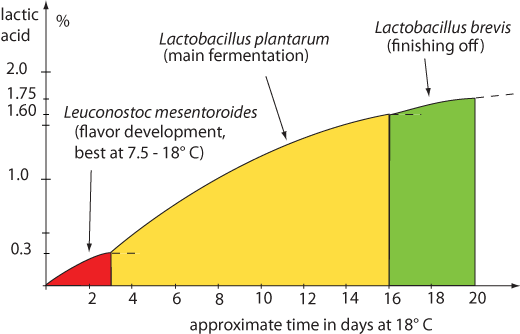 Fermentation