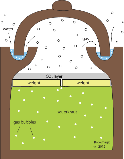 sauerkraut fermenting water channel
