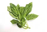 Fresh basil.