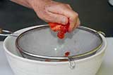 Place fine strainer over bowl. Squeeze tomatoes. The seeds with gel will break loose.