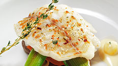 Halibut in Herb Sauce