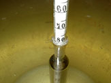 Brine tester floating in brine.