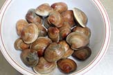 Littleneck clams