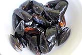 Blue mussels