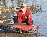 King salmon,  Gulkana River, Sourdough, Alaska.