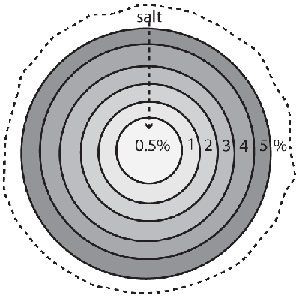 Ham salt distribution