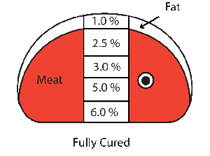 Fully cured ham.