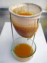 filtering kumquat