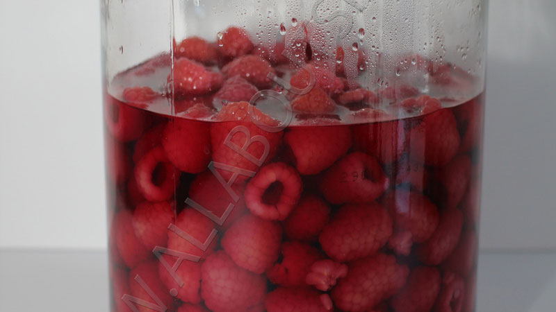 Raspberry Infusion