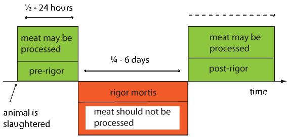 meat aging