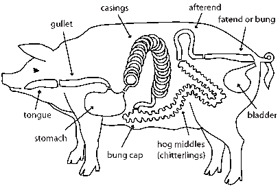 hog casings