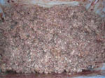 Buckwheat groats