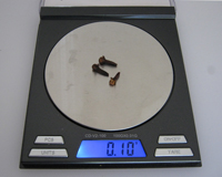 Digital scale