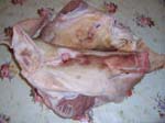 Pig head split in half