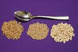 Whole oats, cut oats and rolled oats.